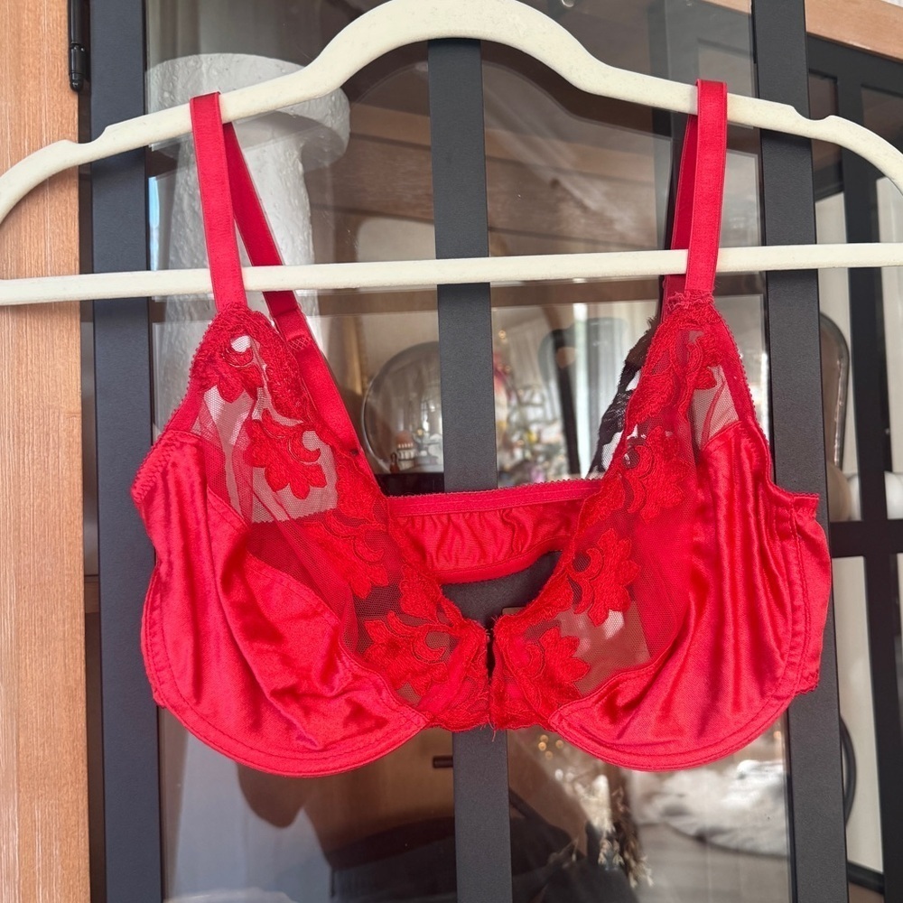 Vintage Dior silk lace bra wiring sheer mesh floral red sexy claspfront lingerie